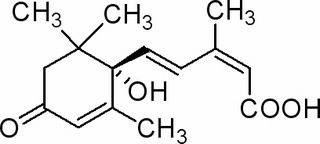 植物激素及核酸類