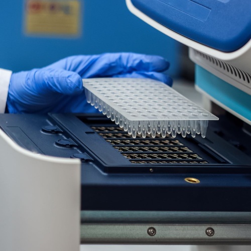 PCR檢測(cè)試劑盒組成