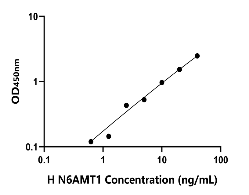 人(N6AMT1)檢測試劑盒 人(N6AMT1)檢測試劑盒