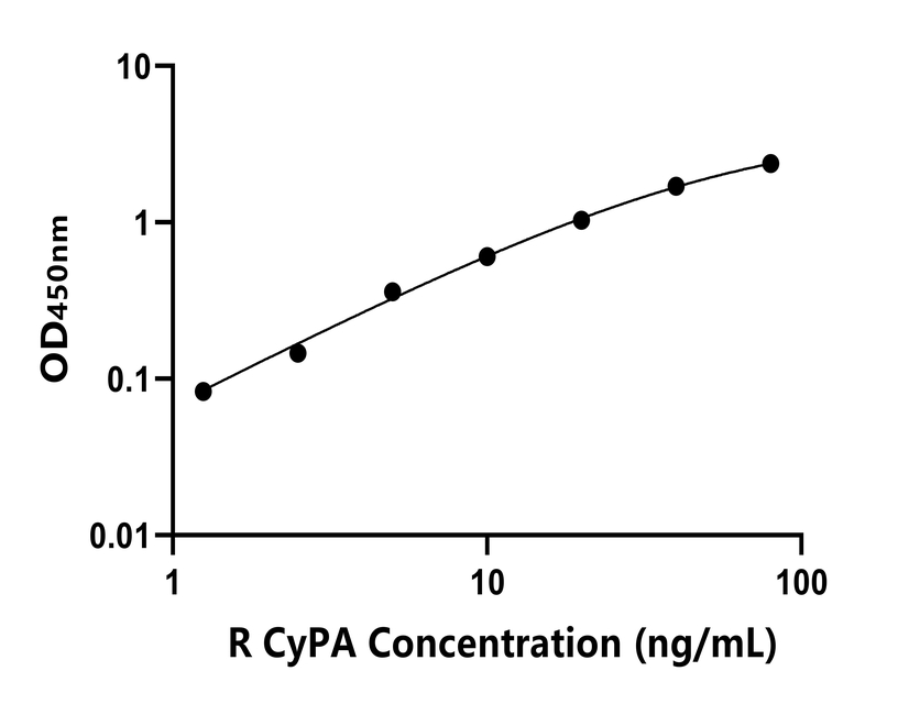 大鼠(CyPA)ELISA試劑盒 大鼠(CyPA)ELISA試劑盒